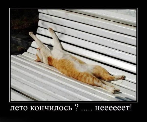 Лето кончается школа начинается