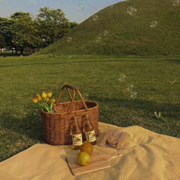 Cottagecore пикник