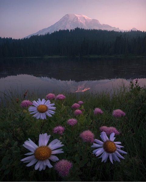 Лето Эстетика море