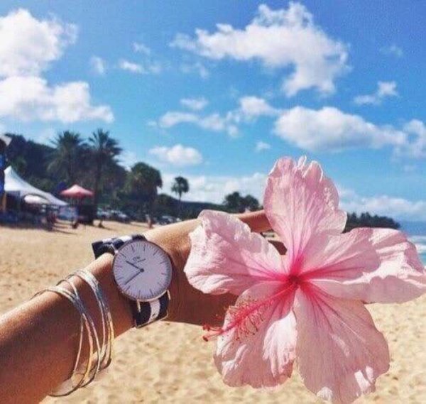 Августовские фрукты