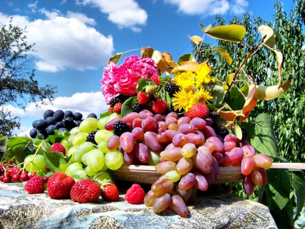 Розовые сохраненки Эстетика