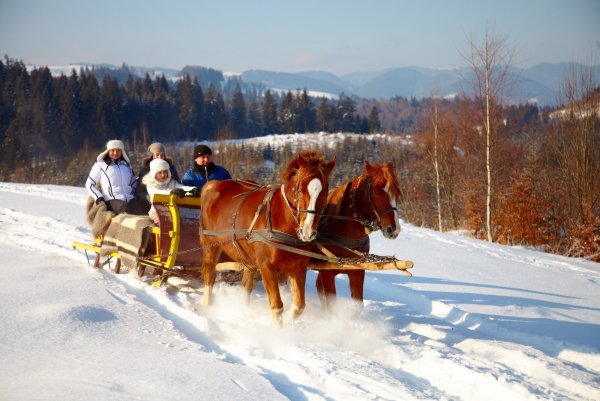 Прогулка на санях