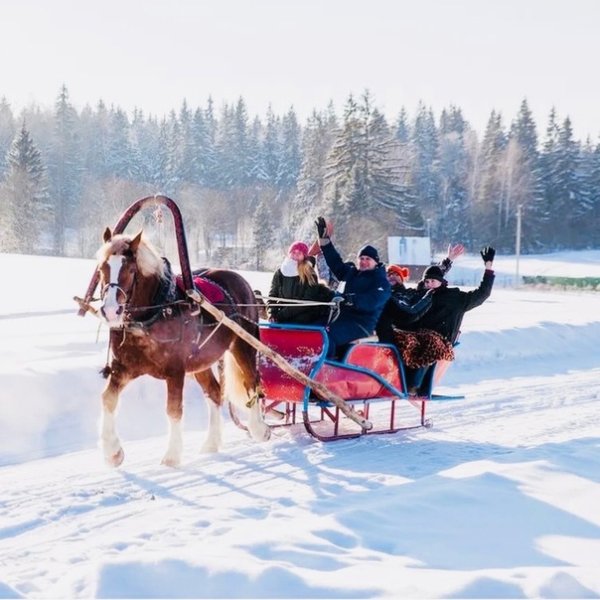 Катание на санях