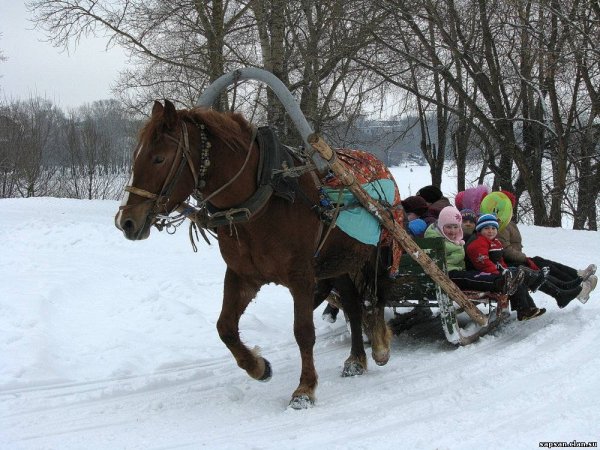 Катание на лошадях зимой