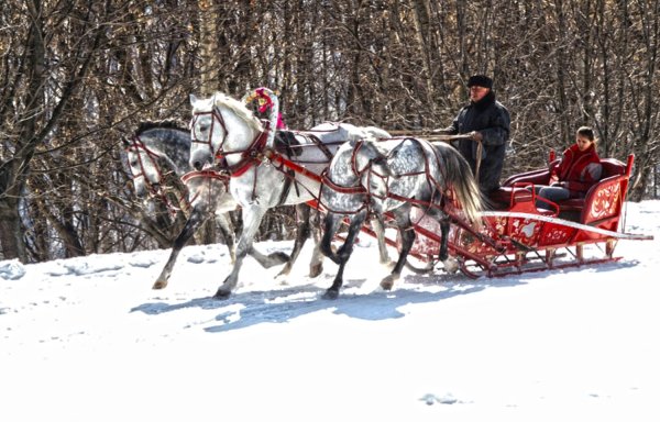 Сани с тройкой лошадей