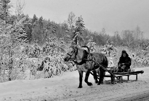 Зима крестьянин
