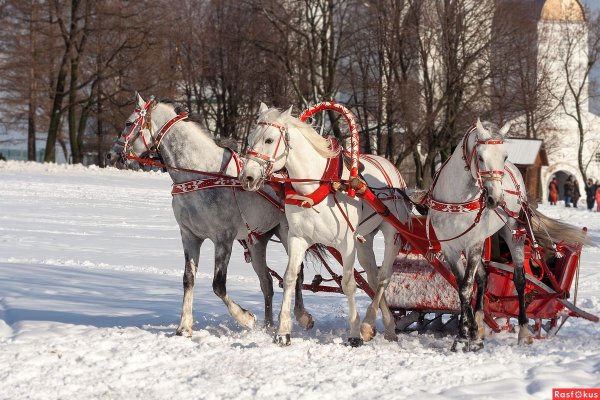 Русская упряжка тройка