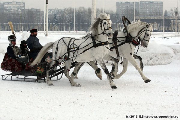 Сани с лошадкой