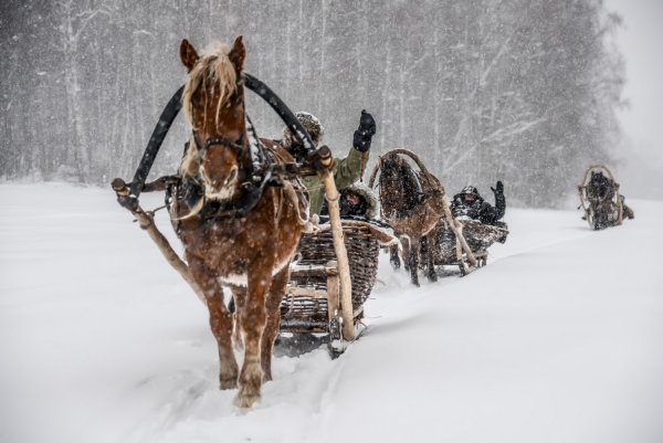 Конно-санная прогулка в Башкирии