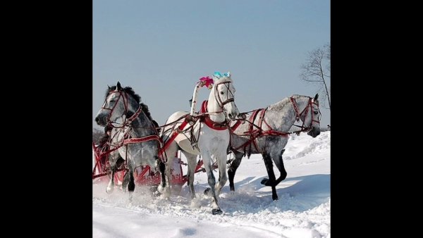 Русская тройка с бубенцами