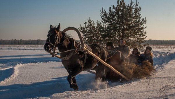 Едут на санях запряжённые лошадьми