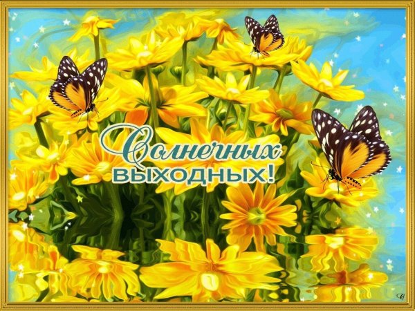 Солнечных выходных