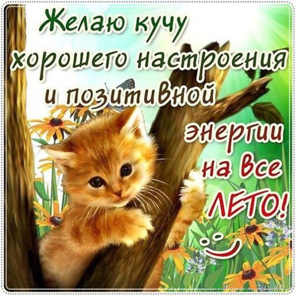Открытка прекрасного летнего дня