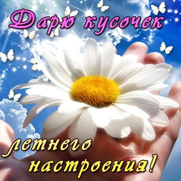 Пожелания с добрым летним утром