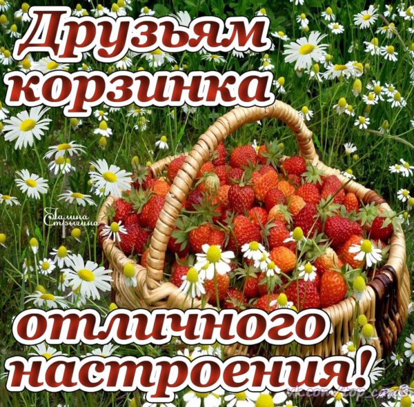 Хорошего дня и отличного настроения