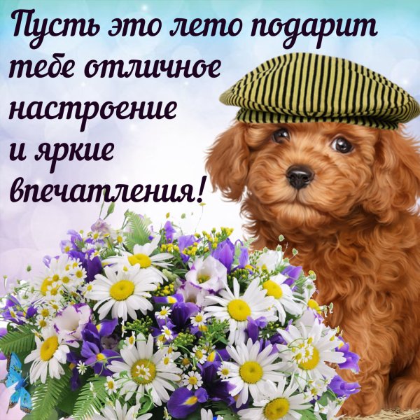 Летнего настроения пожелания