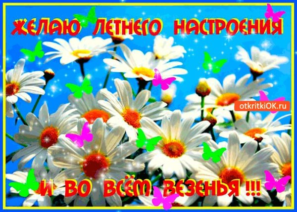 Теплые летние пожелания