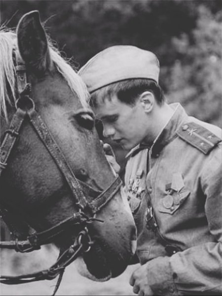 Волк картинка