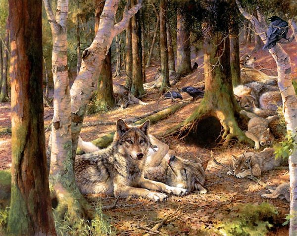 Картинки на рабочий стол волки