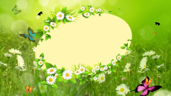 Фон для презентации лето с книгой