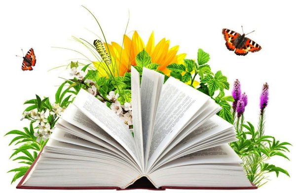 Книга для девочек