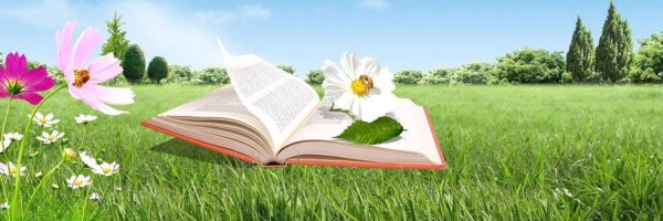 Солнышко с книгой