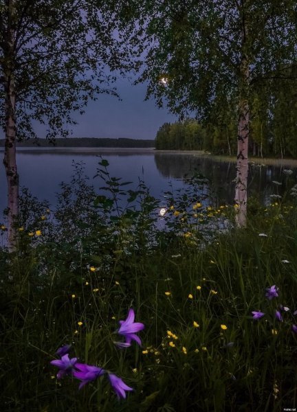 Летняя ночь пейзаж