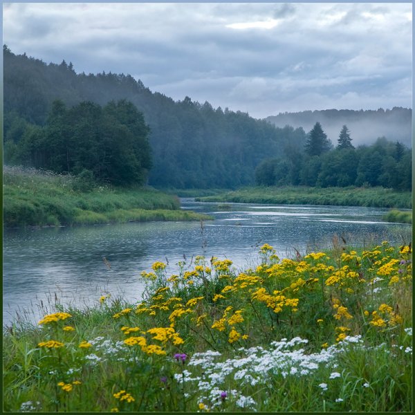 Пижма (приток Печоры)