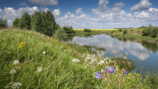 Василисино Наро-Фоминский район