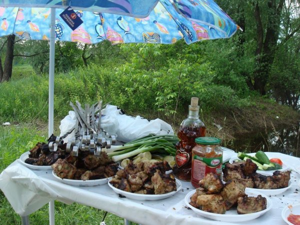 Шашлык в лесу