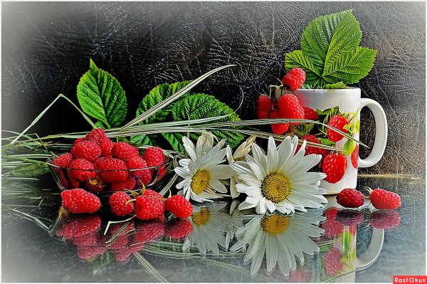 Доброе летнее утро