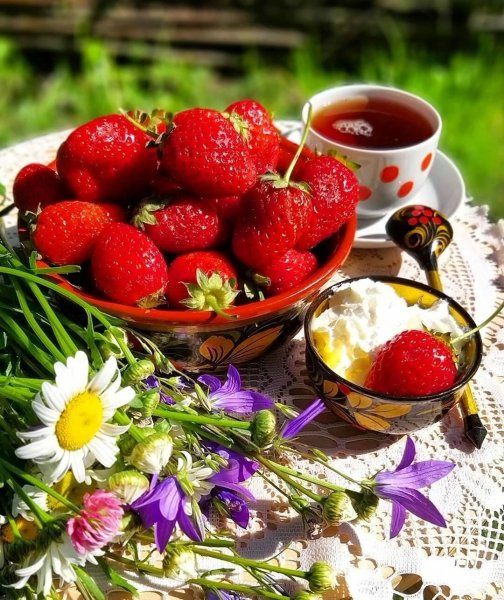 Доброе летнее утро