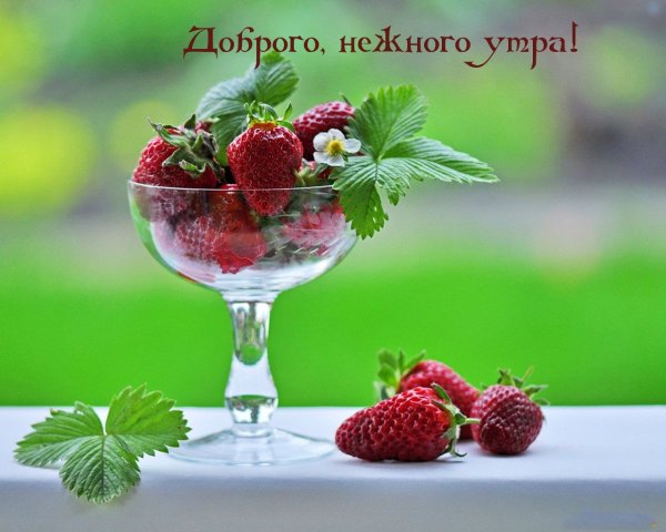 Доброе утро клубника