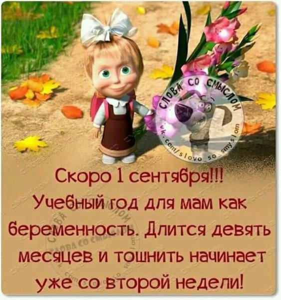 Смешные фразы про 1 сентября