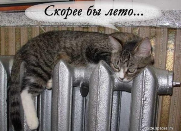 Скорей бы лето
