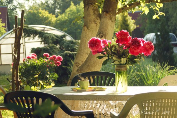 Чай на веранде