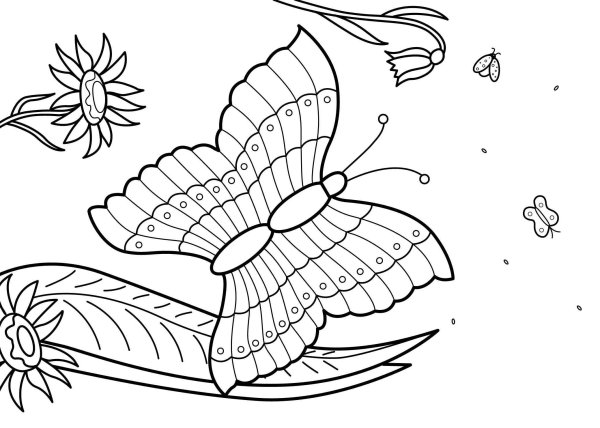 Раскраски о лете