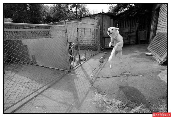 Костя Батищев Доживем до понедельника