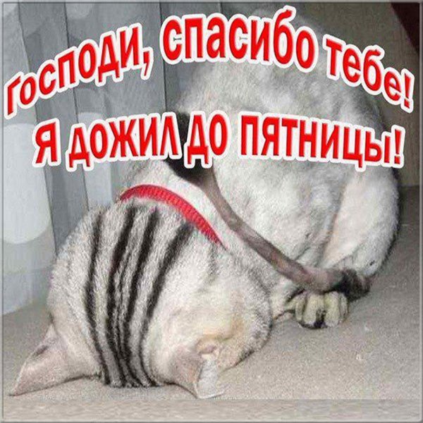 Высказывания про пенсию