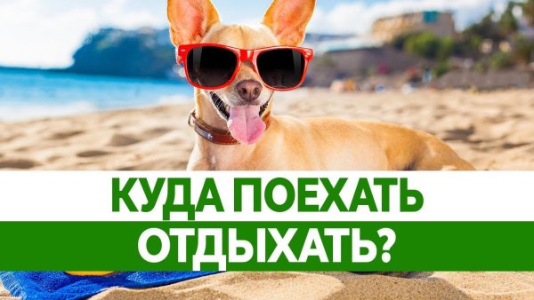 На море всей семьей