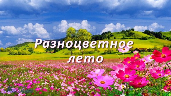 Мультяшное лето в детском саду