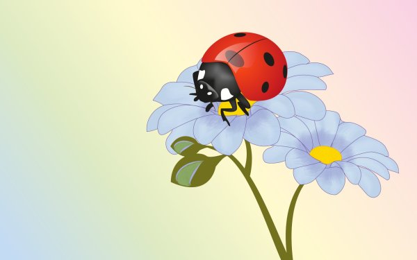 Божья коровка на траве