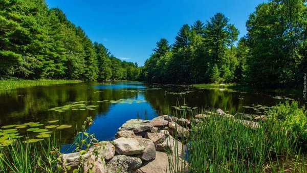 Хадыженское Лесное озеро