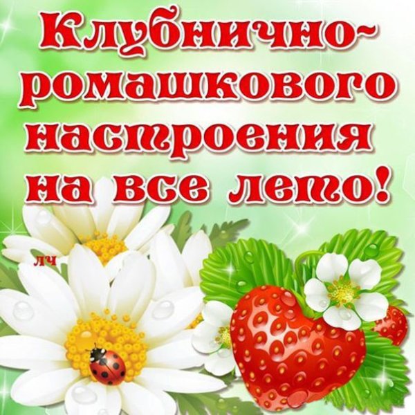 Летнее настроение