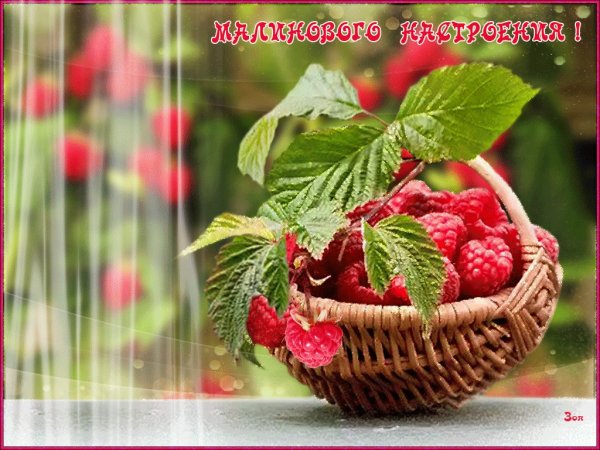 Открытки хорошего летнего дня