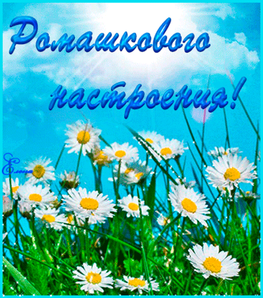 Доброе утро солнышко