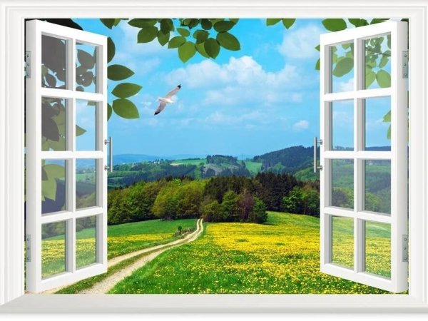 Окно в природу