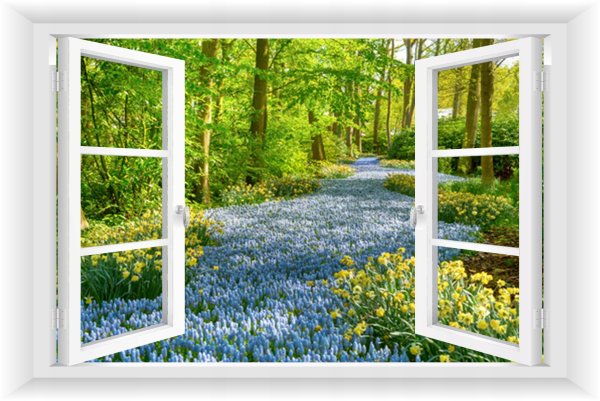 Фотообои окно видом на природу