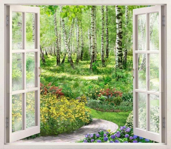 Окно в природу