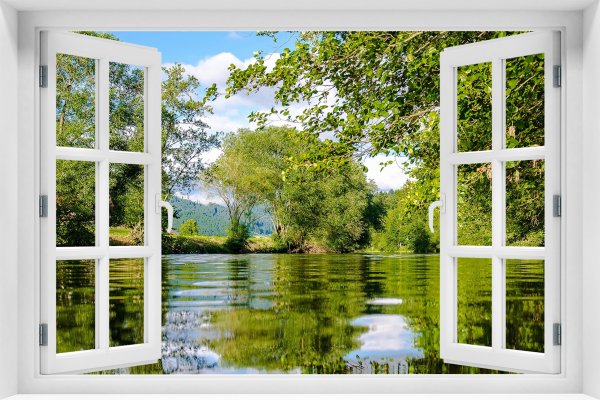 Природа за окном